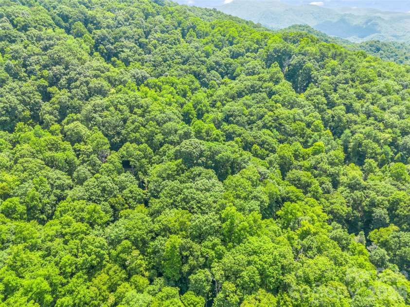 20 Kimberly Road, Black Mountain, NC 28711.  MLS# CAR4400937, YatesRealty ID 36599. 