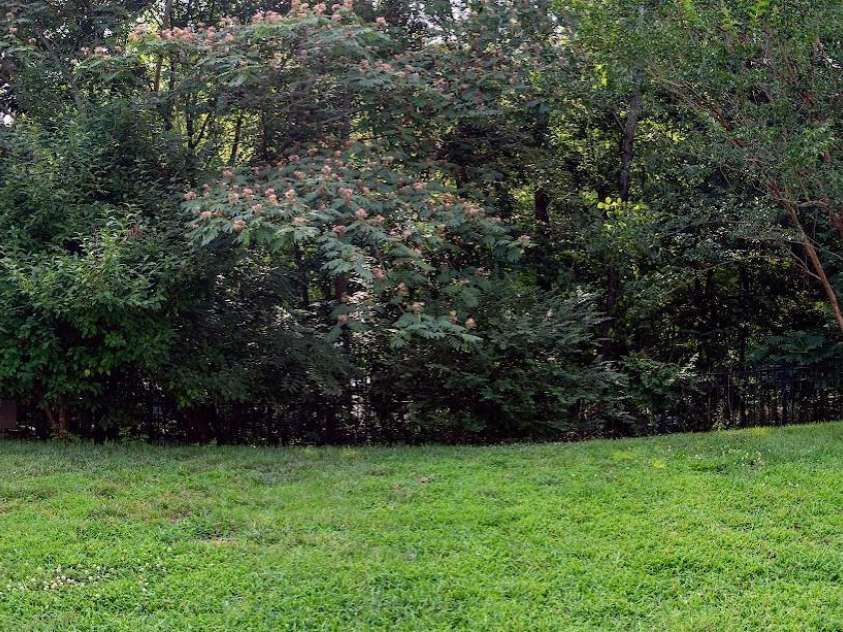 9411 Seamill Road, Charlotte, NC 28278.  MLS# CAR4399402, YatesRealty ID 36609. Backyard