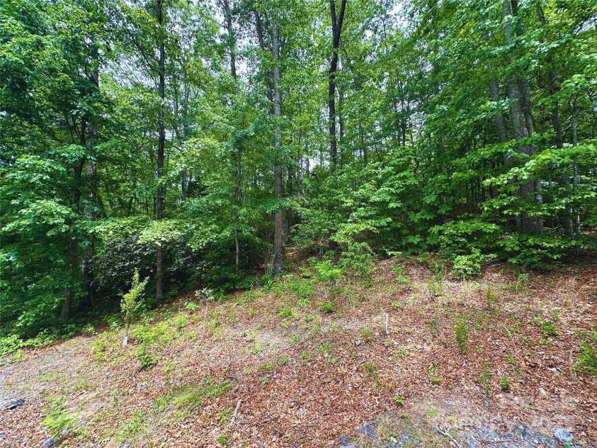 23 Clarks Crossing Way, Black Mountain, NC 28711.  MLS# CAR4263702, YatesRealty ID 3664. 