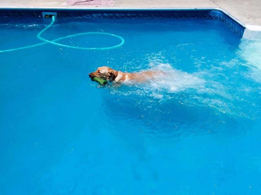 1753 Smith Farm Road, Lexington, NC 27292.  MLS# CAR4213452, YatesRealty ID 367. 