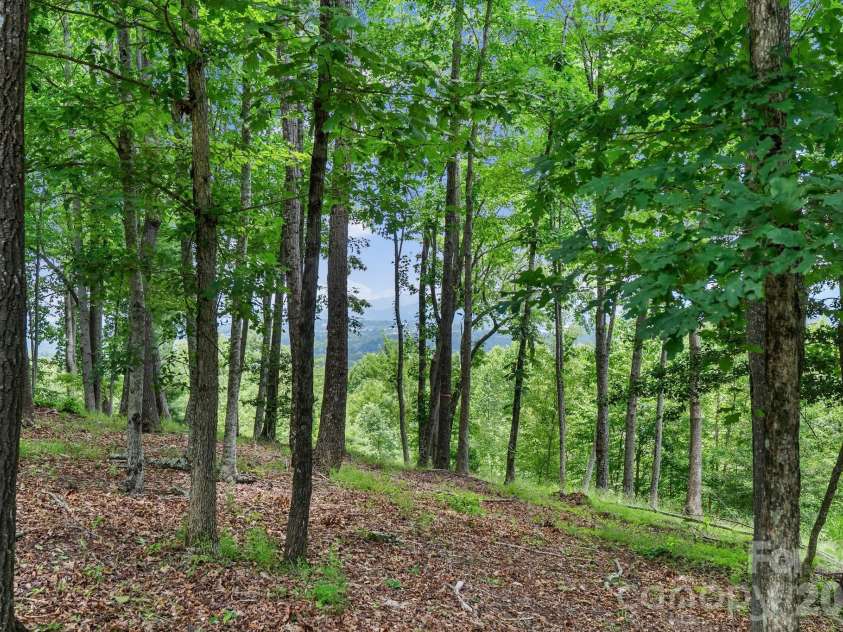 120 Split Rock Trail, Arden, NC 28704.  MLS# CAR4260238, YatesRealty ID 36772. 