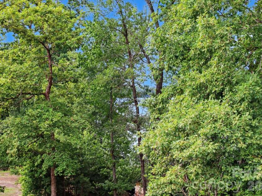 24562 Blue Heron Circle, Lancaster, SC 29720.  MLS# CAR4402586, YatesRealty ID 36802. Seasonal view