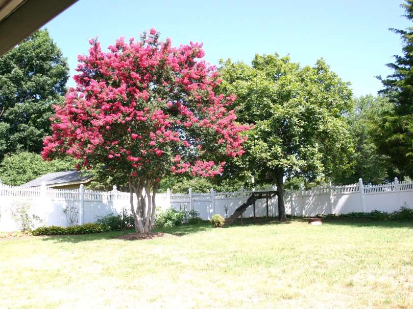 1647 Woodridge Circle, Hickory, NC 28602.  MLS# CAR4403829, YatesRealty ID 36879. Backyard