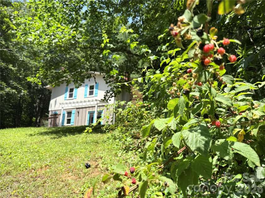 95 Walker Cove Road, Black Mountain, NC 28711.  MLS# CAR4385483, YatesRealty ID 36958. 