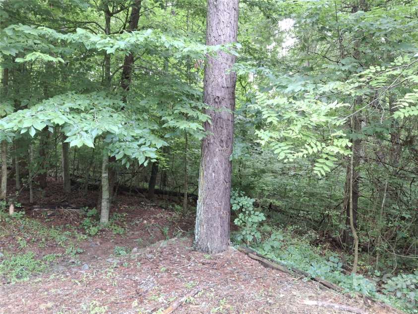 232 Tilson Drive, Mars Hill, NC 28754.  MLS# CAR4403424, YatesRealty ID 36994. Front yard
