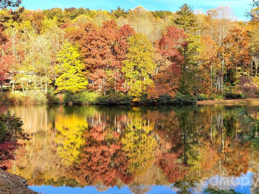 111 Kindy Forest Drive, Hendersonville, NC 28739.  MLS# CAR4398408, YatesRealty ID 37029. Fall Colors are Insane!!