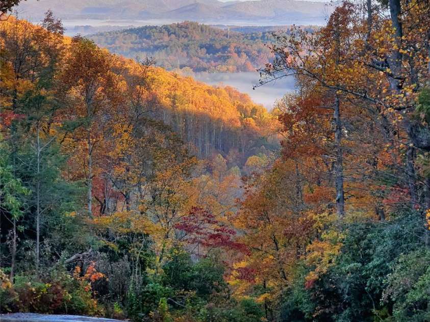 111 Kindy Forest Drive, Hendersonville, NC 28739.  MLS# CAR4398408, YatesRealty ID 37029. The mountain view over the walking bridge
