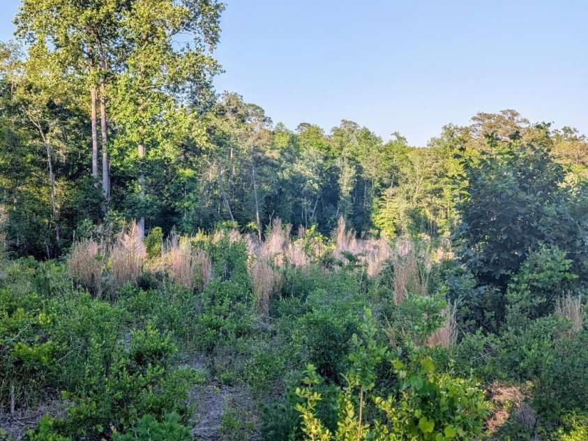 3328 Love Road, Kershaw, SC 29067.  MLS# CAR4383966, YatesRealty ID 37053. 