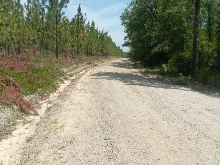 3328 Love Road, Kershaw, SC 29067.  MLS# CAR4383966, YatesRealty ID 37053. 