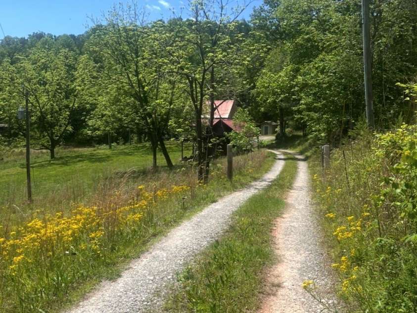 1239 McGuinn Road, Mill Spring, NC 28756.  MLS# CAR4387532, YatesRealty ID 37073. 