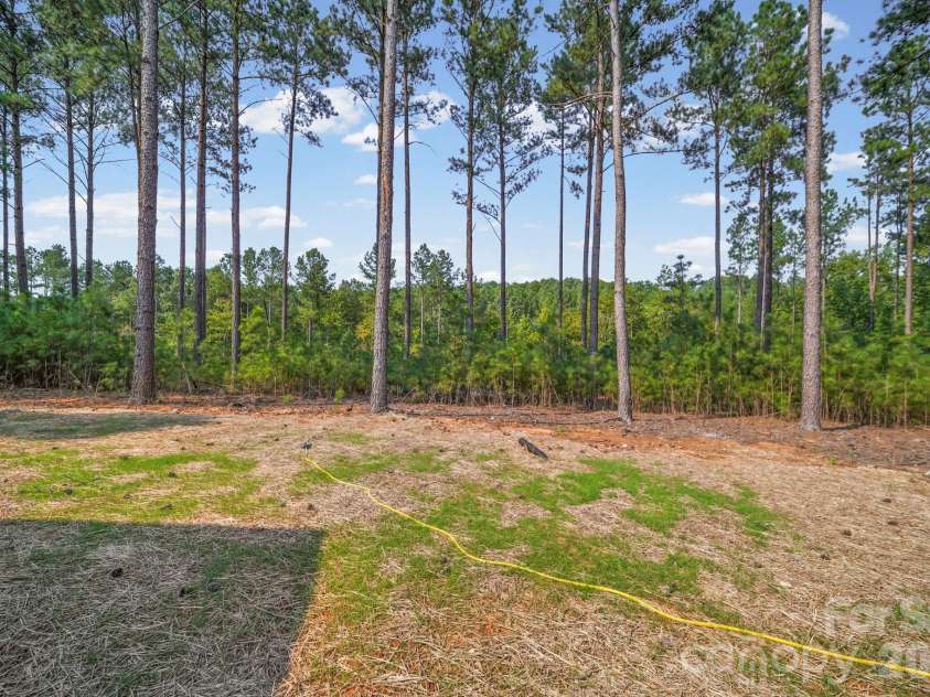 224 Plantation Way, Mount Gilead, NC 27306.  MLS# CAR4402494, YatesRealty ID 37097. Backyard