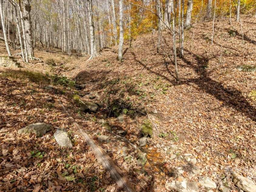 563 Bee Tree Lane, Mars Hill, NC 28754.  MLS# CAR4317356, YatesRealty ID 3714. Small seasonal creek on property