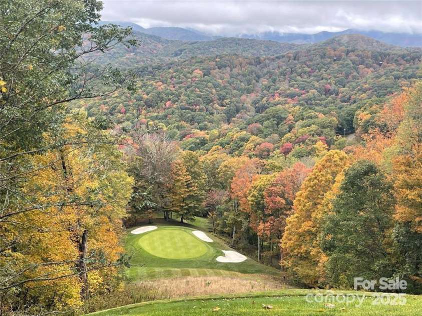 563 Bee Tree Lane, Mars Hill, NC 28754.  MLS# CAR4317356, YatesRealty ID 3714. Wolf Laurel Community Golf 