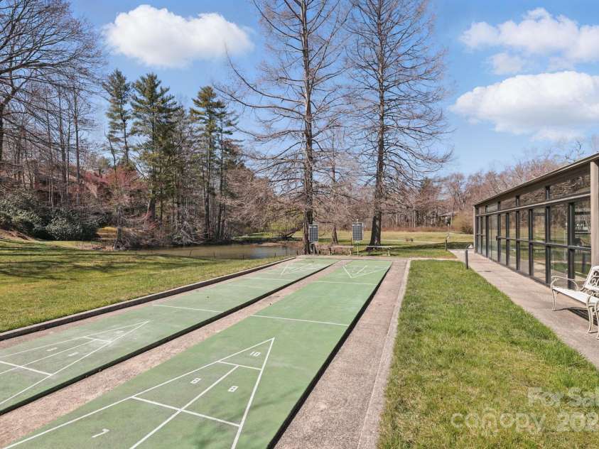 406 Live Oak Lane, Hendersonville, NC 28791.  MLS# CAR4235067, YatesRealty ID 3727. Shuffleboard