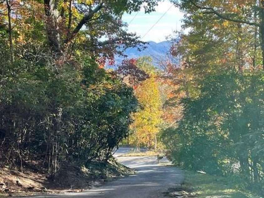 425 Flat Top Mountain Road, Fairview, NC 28732.  MLS# CAR4232746, YatesRealty ID 3730. 