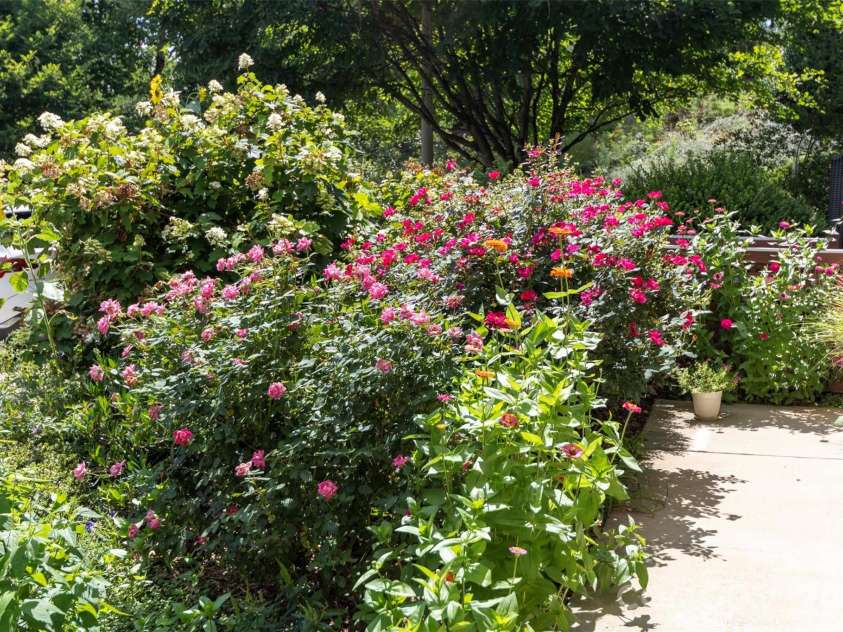 40 Hyannis Drive, Asheville, NC 28804.  MLS# CAR4399702, YatesRealty ID 37461. Outside landscaping
