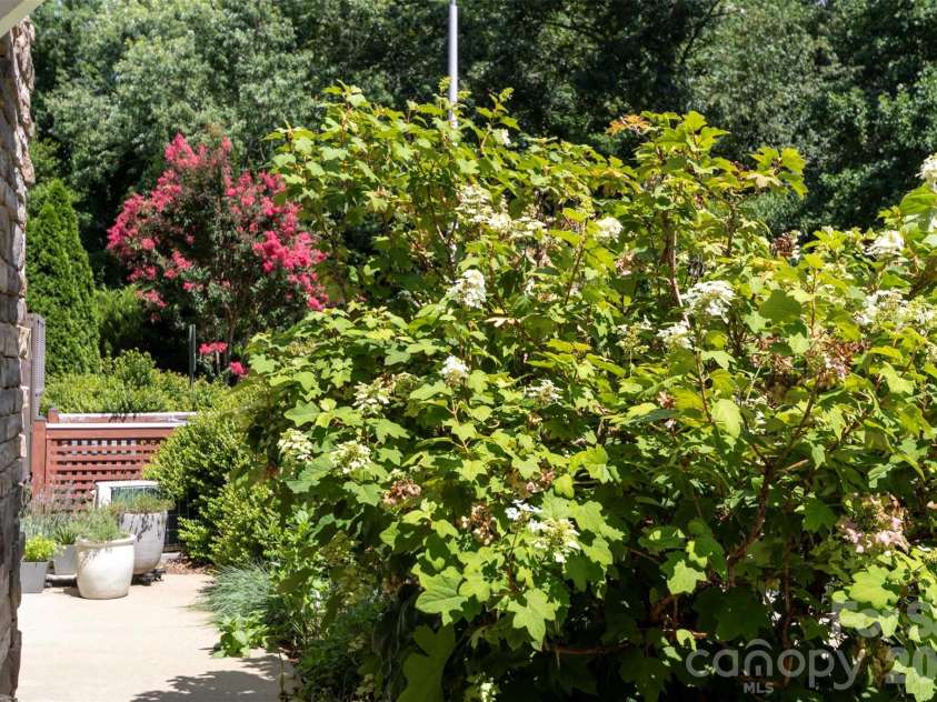 40 Hyannis Drive, Asheville, NC 28804.  MLS# CAR4399702, YatesRealty ID 37461. Outside landscaping