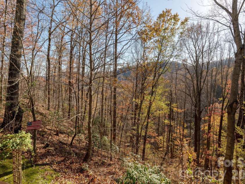 48 & 50 Wild Turkey Run, Black Mountain, NC 28711.  MLS# CAR4318809, YatesRealty ID 3748. 
