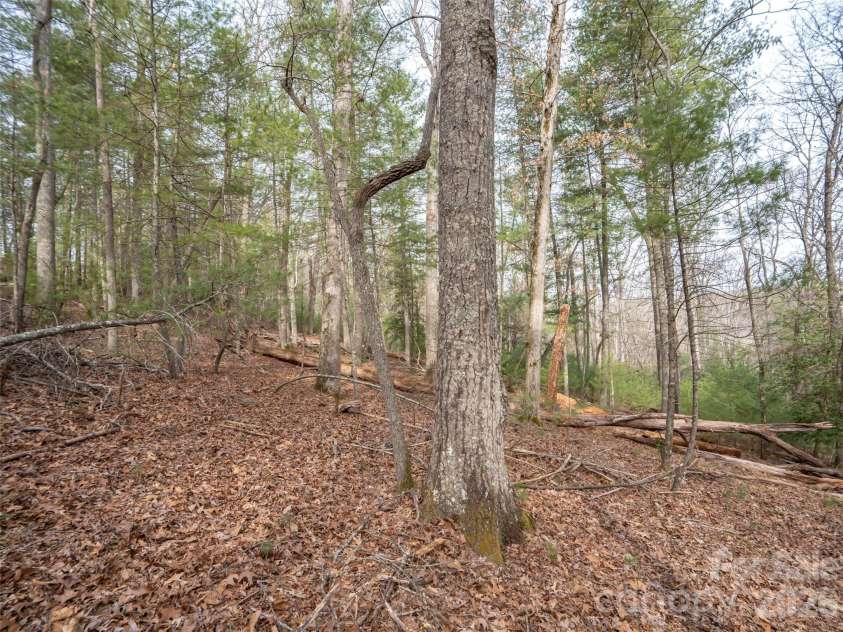 9999 Cedar Hill Drive, Asheville, NC 28803.  MLS# CAR4349500, YatesRealty ID 3754. 