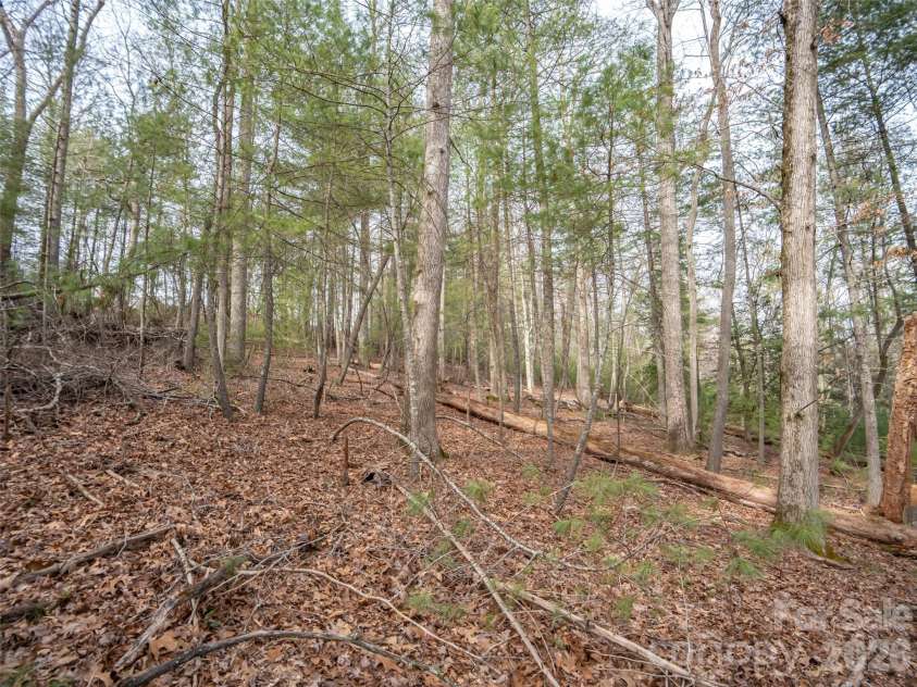 9999 Cedar Hill Drive, Asheville, NC 28803.  MLS# CAR4349500, YatesRealty ID 3754. 