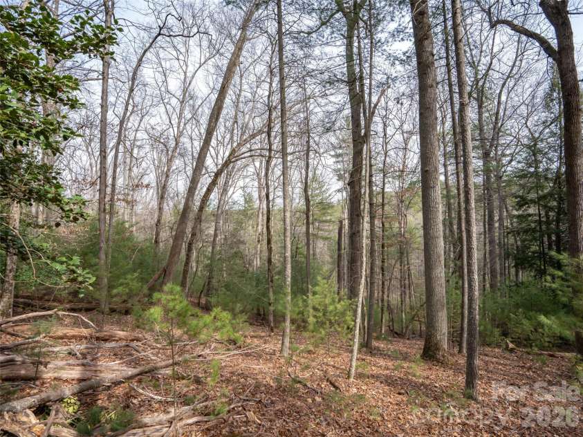 9999 Cedar Hill Drive, Asheville, NC 28803.  MLS# CAR4349500, YatesRealty ID 3754. 