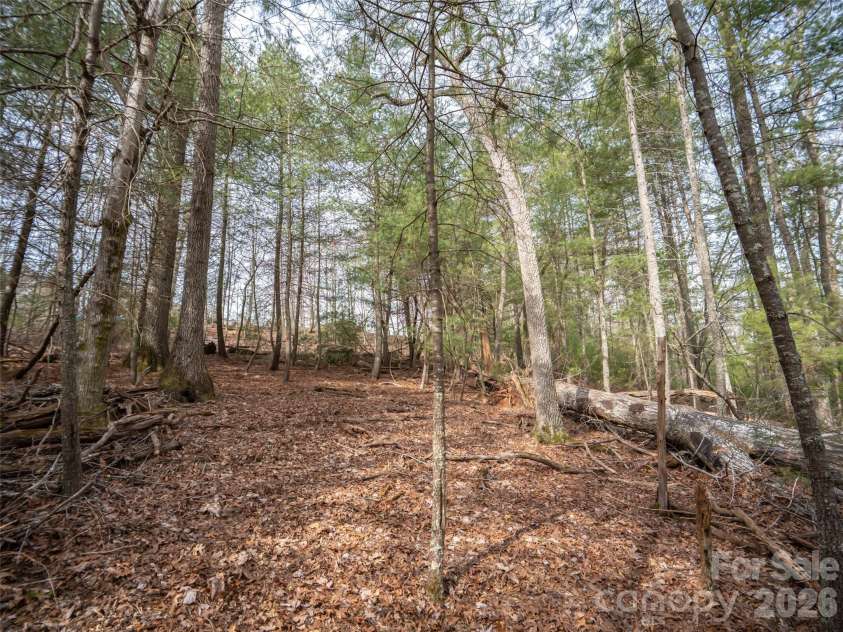 9999 Cedar Hill Drive, Asheville, NC 28803.  MLS# CAR4349500, YatesRealty ID 3754. 