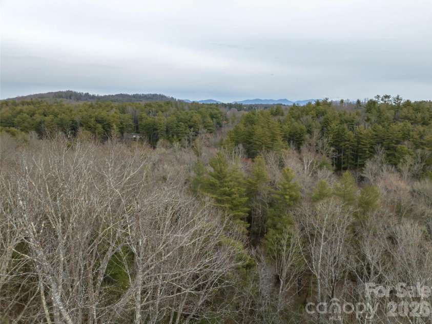 9999 Cedar Hill Drive, Asheville, NC 28803.  MLS# CAR4349500, YatesRealty ID 3754. 