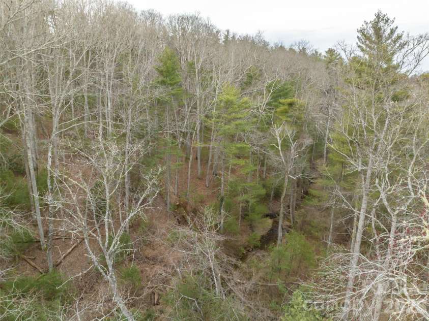 9999 Cedar Hill Drive, Asheville, NC 28803.  MLS# CAR4349500, YatesRealty ID 3754. 