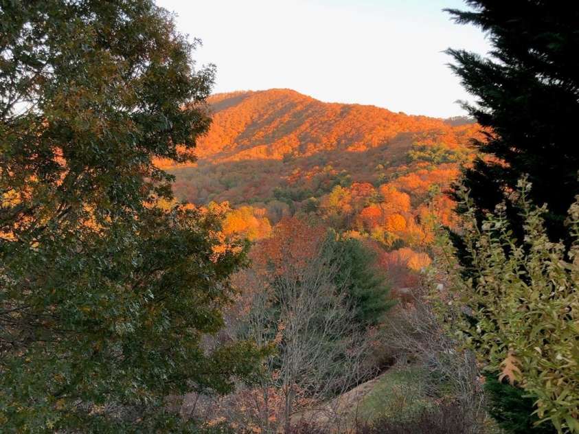 48 Stony Ridge, Asheville, NC 28804.  MLS# CAR4397346, YatesRealty ID 37545. A fall view off the deck.