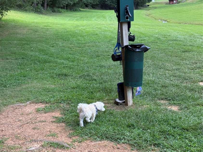 111 Club House Extension, New London, NC 28127.  MLS# CAR4295285, YatesRealty ID 3757. Pet Run and potty area, a favorite for all dogs!