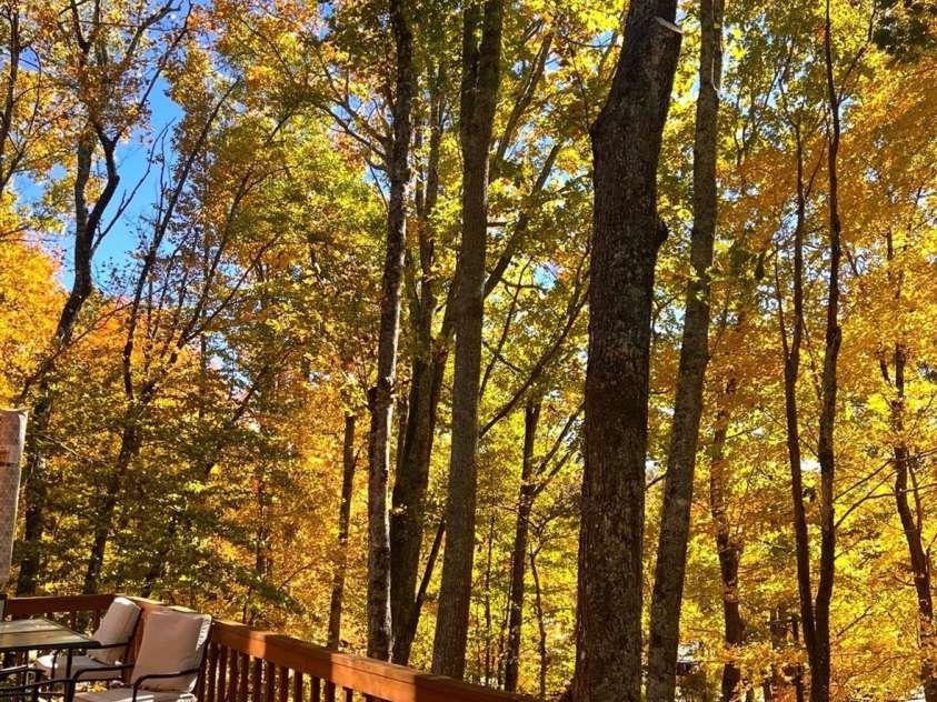 89 Woodcliff Loop, Newland, NC 28657.  MLS# CAR4381758, YatesRealty ID 37658. Back Deck in the fall