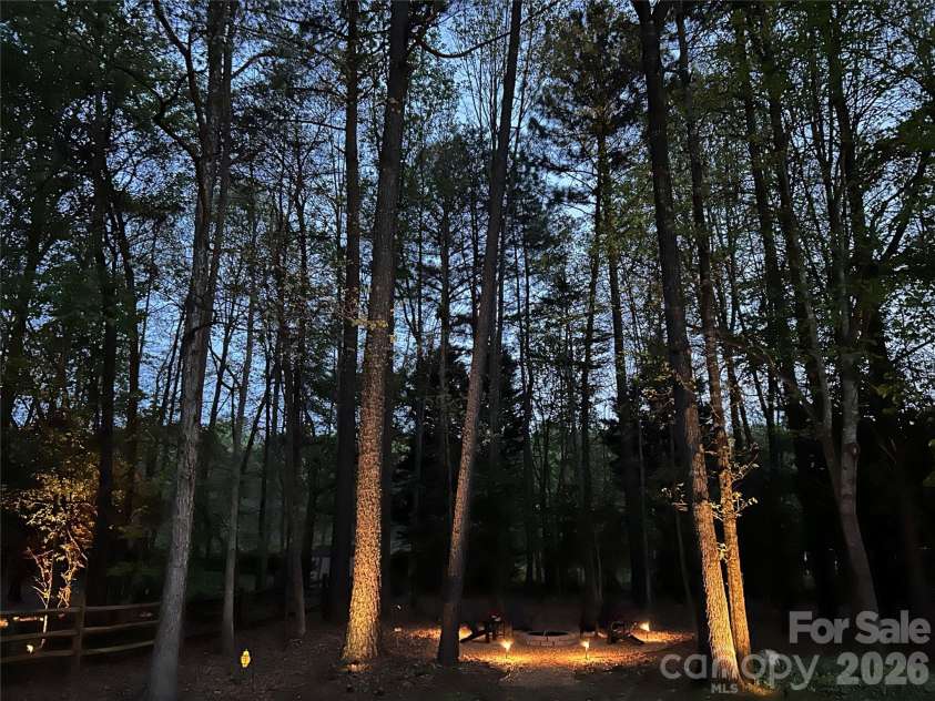 4034 Nicole Eileen Lane, Charlotte, NC 28216.  MLS# CAR4403119, YatesRealty ID 37687. Uplit trees in backyard