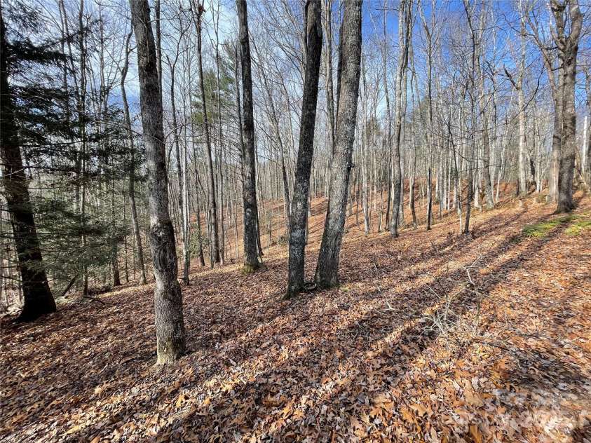 102 Knobster Way, Glenville, NC 28736.  MLS# CAR4325693, YatesRealty ID 3776. The surrounding area is all natural -