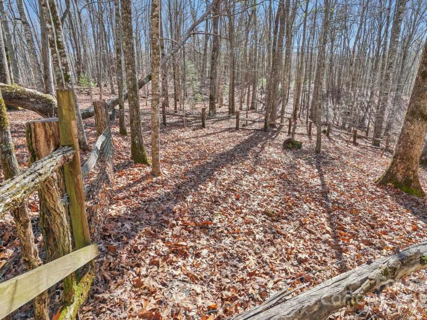 102 Knobster Way, Glenville, NC 28736.  MLS# CAR4325693, YatesRealty ID 3776. Trees, leaves, and logs.  The slope is gentle.