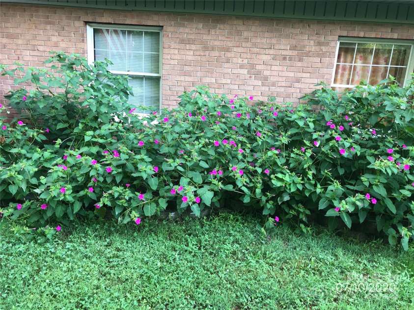 3154 Frank Whisnant Road, Morganton, NC 28655.  MLS# CAR4227309, YatesRealty ID 3813. Summer Garden