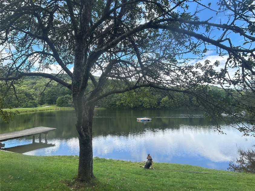 77 E Lake Dr East Lake Drive, Fairview, NC 28730.  MLS# CAR4405449, YatesRealty ID 38171. 