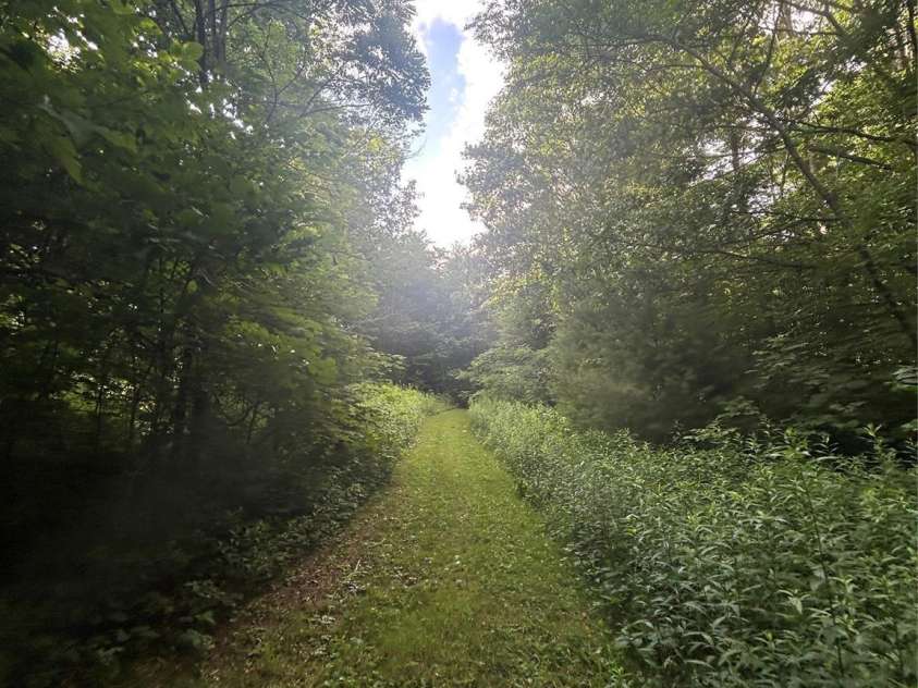 77 E Lake Dr East Lake Drive, Fairview, NC 28730.  MLS# CAR4405449, YatesRealty ID 38171. 