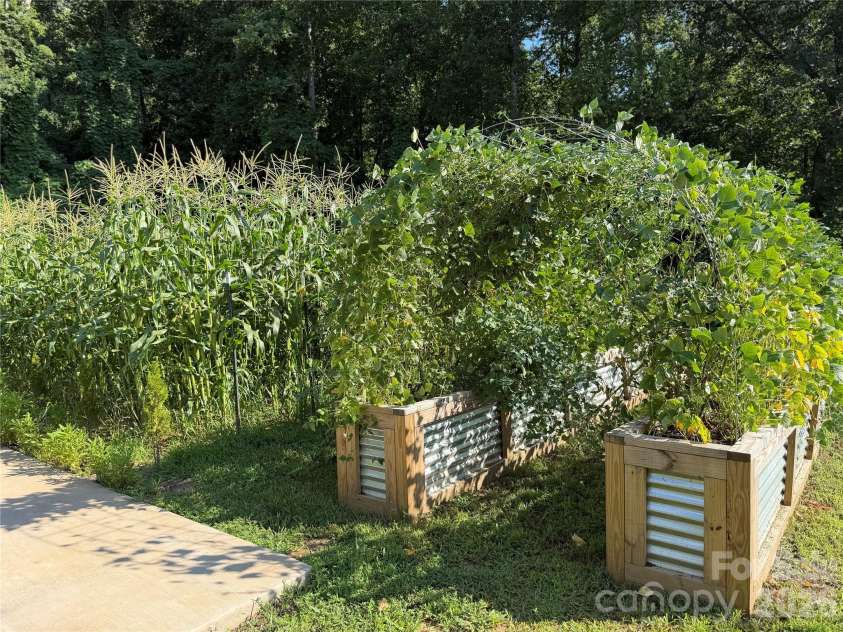 3430 Tranquil Hills Drive, Lenoir, NC 28645.  MLS# CAR4402608, YatesRealty ID 38174. Inground Garden w/Compost Soil