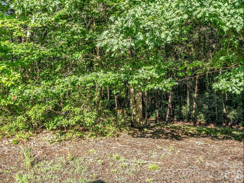 141 Dalton Court, Lake Lure, NC 28746.  MLS# CAR4402828, YatesRealty ID 38187. 