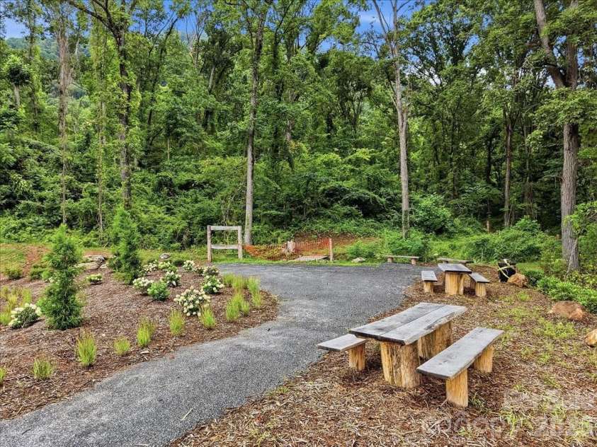 239 Smokey Holler Drive, Asheville, NC 28803.  MLS# CAR4403908, YatesRealty ID 38195. 