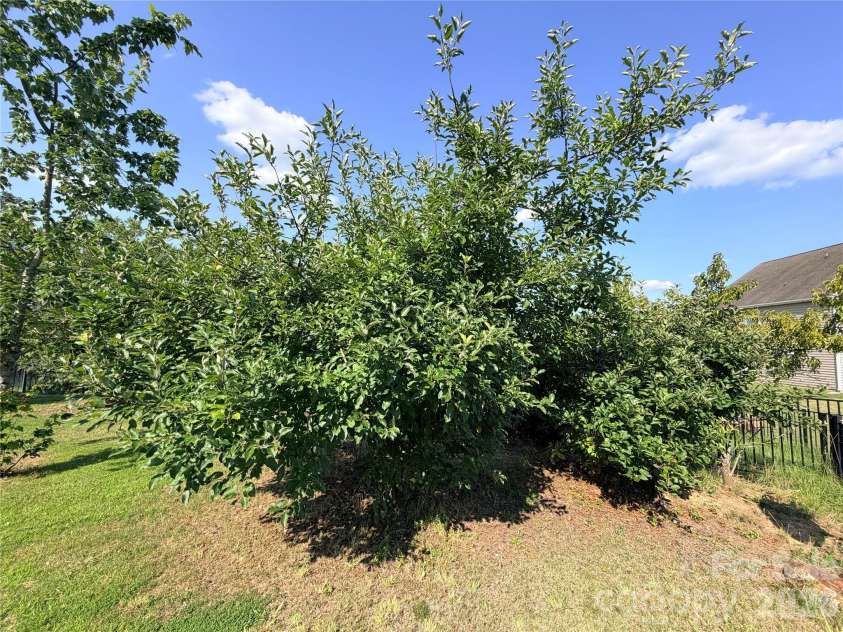 9281 Perseverance Drive, Harrisburg, NC 28075.  MLS# CAR4399173, YatesRealty ID 38250. 