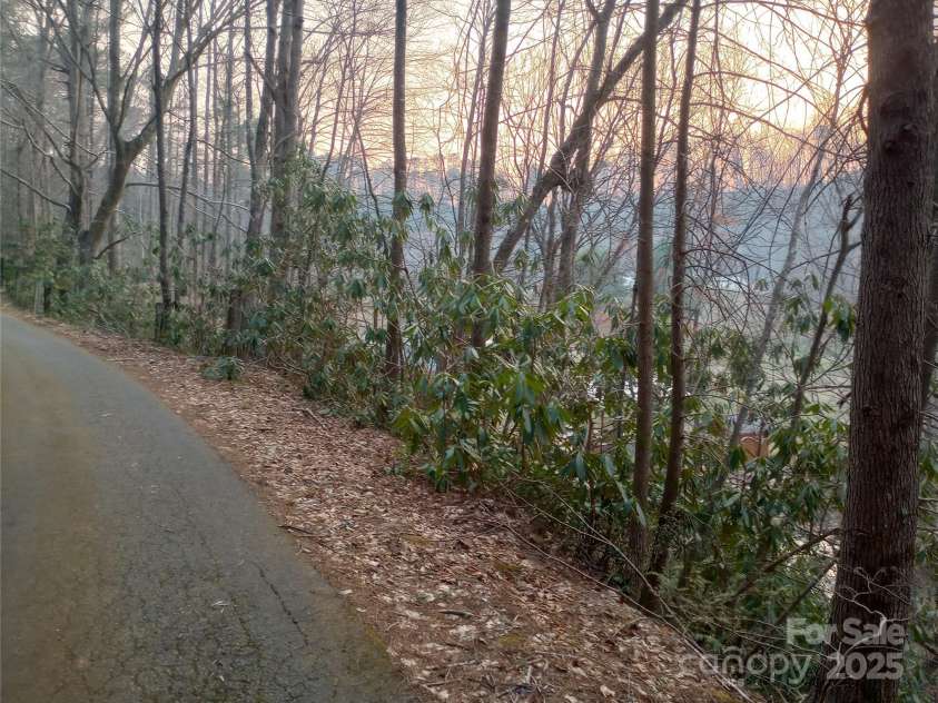 358 Carson Elliott Drive, Marion, NC 28752.  MLS# CAR4240915, YatesRealty ID 3832. Paved driveway