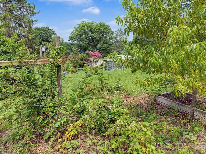 25 Wentworth Avenue, Asheville, NC 28803.  MLS# CAR4404172, YatesRealty ID 38404. 