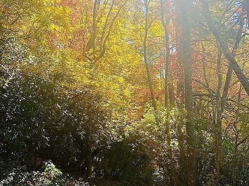 109 Emerald Ridge Road, Sapphire, NC 28774.  MLS# CAR4344212, YatesRealty ID 3848. 