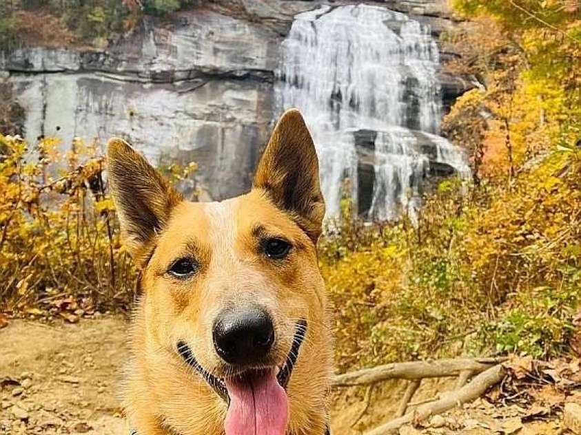 109 Emerald Ridge Road, Sapphire, NC 28774.  MLS# CAR4344212, YatesRealty ID 3848. 