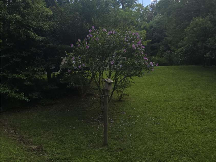 192 Lady Bug Lane, Penrose, NC 28766.  MLS# CAR4404991, YatesRealty ID 38520. 