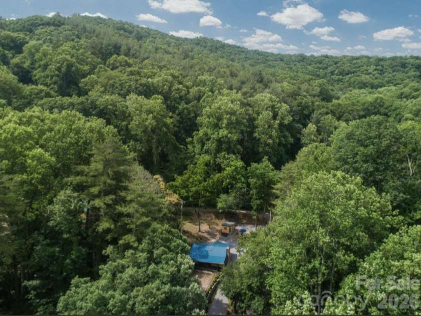 168 Avondale Road, Asheville, NC 28803.  MLS# CAR4388487, YatesRealty ID 38585. 