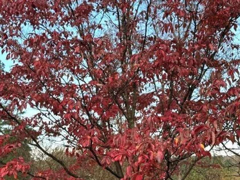 3702 Jonesville Lockhart Highway, Union, SC 29739.  MLS# CAR4270162, YatesRealty ID 386. 