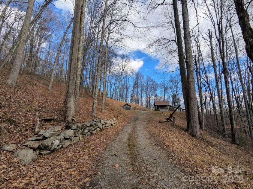 10120 Meadow Fork Road, Hot Springs, NC 28743.  MLS# CAR4218136, YatesRealty ID 3864. Driveway leading up to the house