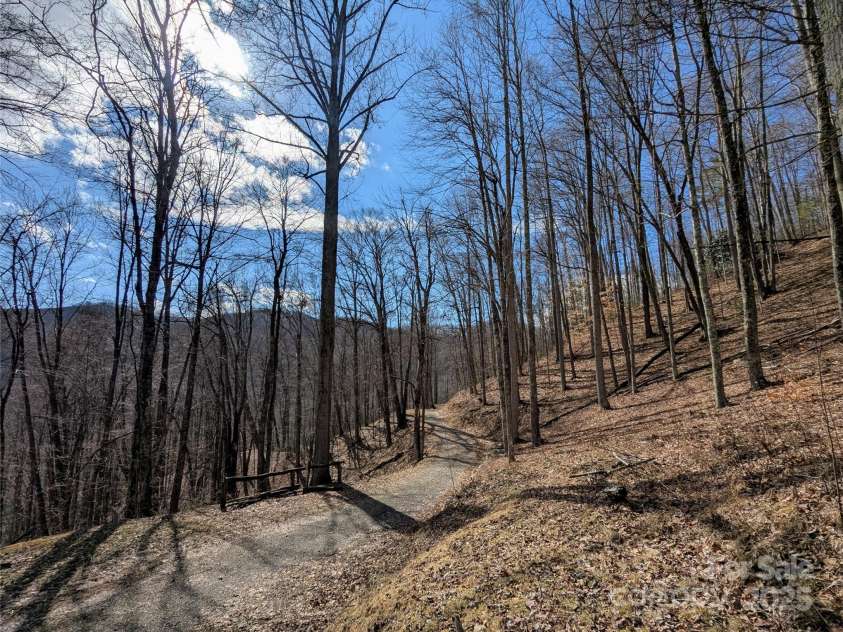 10120 Meadow Fork Road, Hot Springs, NC 28743.  MLS# CAR4218136, YatesRealty ID 3864. Looking down the driveway towards the property gate